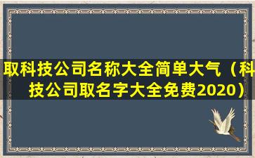 取科技公司名称大全简单大气（科技公司取名字大全免费2020）