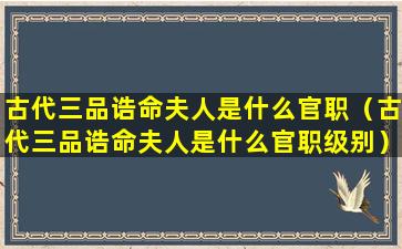 古代三品诰命夫人是什么官职（古代三品诰命夫人是什么官职级别）