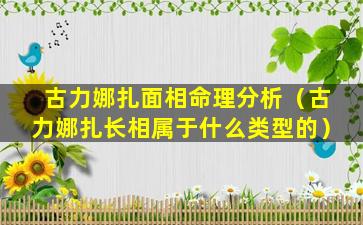 古力娜扎面相命理分析（古力娜扎长相属于什么类型的）