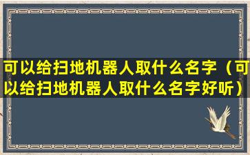 可以给扫地机器人取什么名字（可以给扫地机器人取什么名字好听）