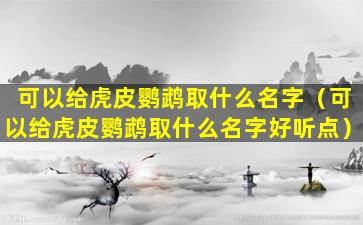 可以给虎皮鹦鹉取什么名字（可以给虎皮鹦鹉取什么名字好听点）