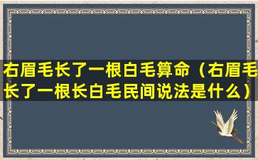 右眉毛长了一根白毛算命（右眉毛长了一根长白毛民间说法是什么）