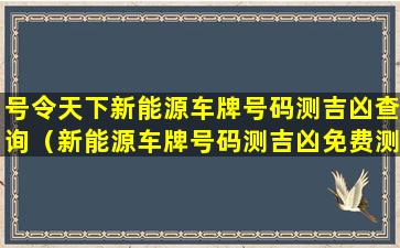 号令天下新能源车牌号码测吉凶查询（新能源车牌号码测吉凶免费测试打分）