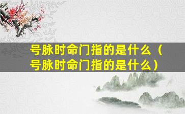 号脉时命门指的是什么（号脉时命门指的是什么）