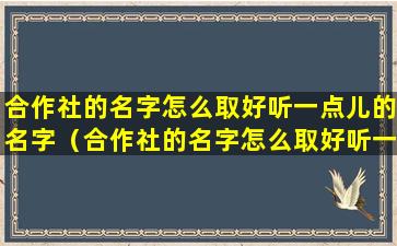 合作社的名字怎么取好听一点儿的名字（合作社的名字怎么取好听一点儿的名字大全）