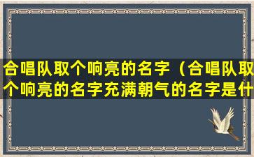 合唱队取个响亮的名字（合唱队取个响亮的名字充满朝气的名字是什么）