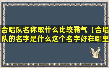 合唱队名称取什么比较霸气（合唱队的名字是什么这个名字好在哪里）