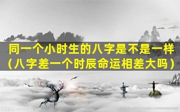 同一个小时生的八字是不是一样（八字差一个时辰命运相差大吗）