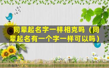 同辈起名字一样相克吗（同辈起名有一个字一样可以吗）