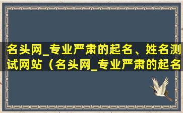 名头网_专业严肃的起名、姓名测试网站（名头网_专业严肃的起名,姓名测试网站）