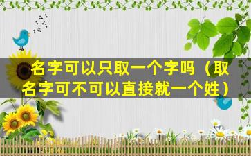 名字可以只取一个字吗（取名字可不可以直接就一个姓）