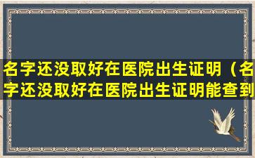 名字还没取好在医院出生证明（名字还没取好在医院出生证明能查到吗）