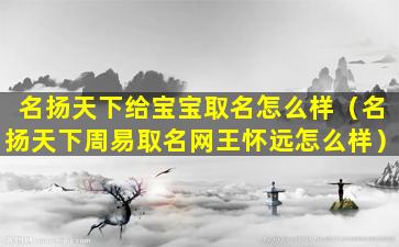 名扬天下给宝宝取名怎么样（名扬天下周易取名网王怀远怎么样）