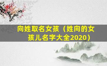 向姓取名女孩（姓向的女孩儿名字大全2020）