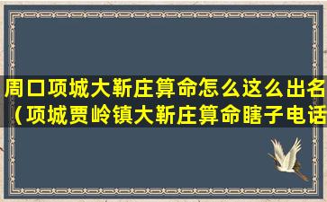 周口项城大靳庄算命怎么这么出名（项城贾岭镇大靳庄算命瞎子电话多少）