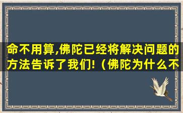 命不用算,佛陀已经将解决问题的方法告诉了我们!（佛陀为什么不让算命）