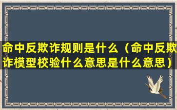 命中反欺诈规则是什么（命中反欺诈模型校验什么意思是什么意思）