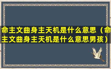 命主文曲身主天机是什么意思（命主文曲身主天机是什么意思男孩）