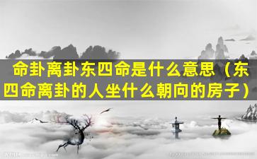 命卦离卦东四命是什么意思（东四命离卦的人坐什么朝向的房子）