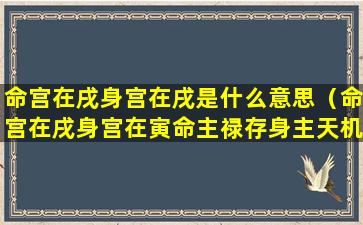 命宫在戌身宫在戌是什么意思（命宫在戌身宫在寅命主禄存身主天机）