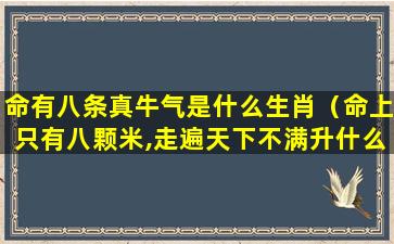 命有八条真牛气是什么生肖（命上只有八颗米,走遍天下不满升什么意思）