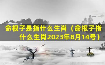 命根子是指什么生肖（命根子指什么生肖2023年8月14号）