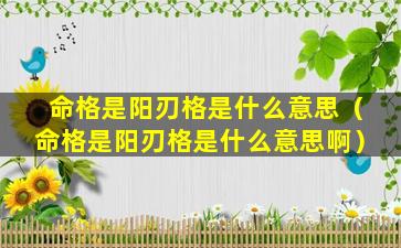 命格是阳刃格是什么意思（命格是阳刃格是什么意思啊）