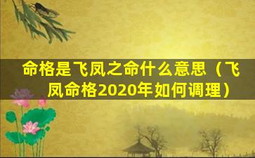 命格是飞凤之命什么意思（飞凤命格2020年如何调理）