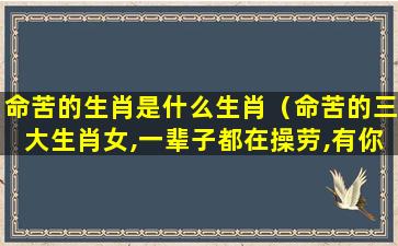 命苦的生肖是什么生肖（命苦的三大生肖女,一辈子都在操劳,有你吗）