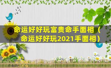 命运好好玩富贵命手面相（命运好好玩2021手面相）