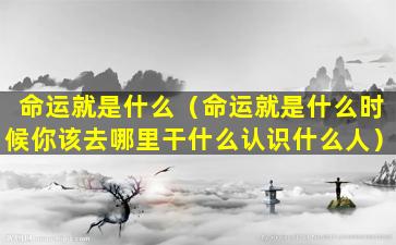 命运就是什么（命运就是什么时候你该去哪里干什么认识什么人）