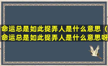 命运总是如此捉弄人是什么意思（命运总是如此捉弄人是什么意思呀）