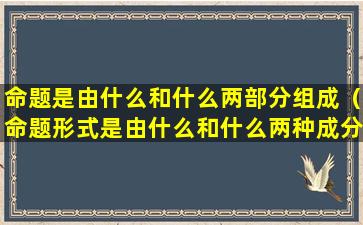 命题是由什么和什么两部分组成（命题形式是由什么和什么两种成分组成的）