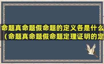 命题真命题假命题的定义各是什么（命题真命题假命题定理证明的定义）