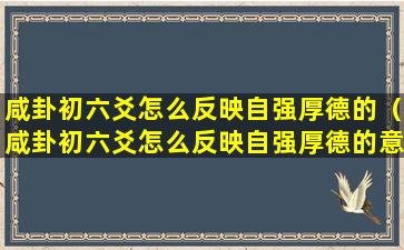 咸卦初六爻怎么反映自强厚德的（咸卦初六爻怎么反映自强厚德的意思）