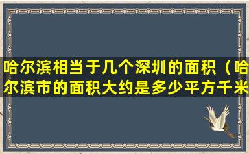 哈尔滨相当于几个深圳的面积（哈尔滨市的面积大约是多少平方千米）