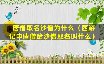 唐僧取名沙僧为什么（西游记中唐僧给沙僧取名叫什么）