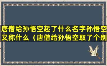 唐僧给孙悟空起了什么名字孙悟空又称什么（唐僧给孙悟空取了个别名叫什么）