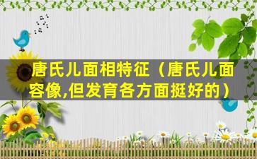 唐氏儿面相特征（唐氏儿面容像,但发育各方面挺好的）