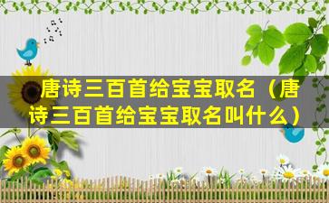 唐诗三百首给宝宝取名（唐诗三百首给宝宝取名叫什么）