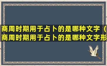 商周时期用于占卜的是哪种文字（商周时期用于占卜的是哪种文字形式）