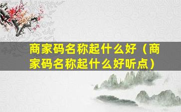 商家码名称起什么好（商家码名称起什么好听点）