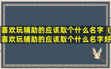 喜欢玩辅助的应该取个什么名字（喜欢玩辅助的应该取个什么名字好听）