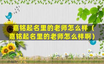 嘉铭起名里的老师怎么样（嘉铭起名里的老师怎么样啊）