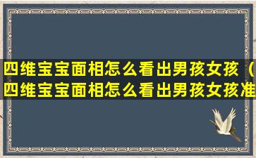 四维宝宝面相怎么看出男孩女孩（四维宝宝面相怎么看出男孩女孩准确吗）