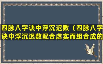 四脉八字诀中浮沉迟数（四脉八字诀中浮沉迟数配合虚实而组合成的证型八字）