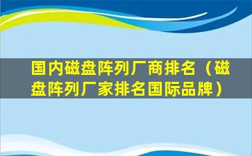 国内磁盘阵列厂商排名（磁盘阵列厂家排名国际品牌）