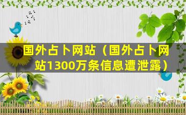 国外占卜网站（国外占卜网站1300万条信息遭泄露）