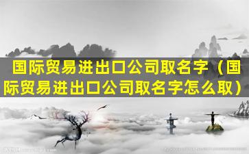 国际贸易进出口公司取名字（国际贸易进出口公司取名字怎么取）