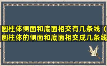 圆柱体侧面和底面相交有几条线（圆柱体的侧面和底面相交成几条线）